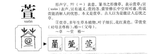 萱名字意思|萱字取名的含义